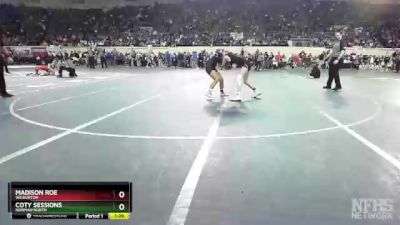 110 lbs Quarterfinal - Coty Sessions, Norman North vs MADISON ROE, Wilburton