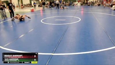 84 lbs Placement Matches (8 Team) - Bradley Barnhart, Black Fox Wrestling Team 1 vs Tate Hammond, Midwest Destroyers