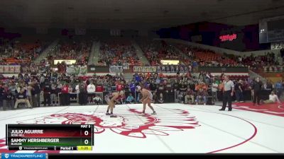 120 lbs Semifinal - Julio Aguirre, Rose Hill vs Sammy Hershberger, Buhler