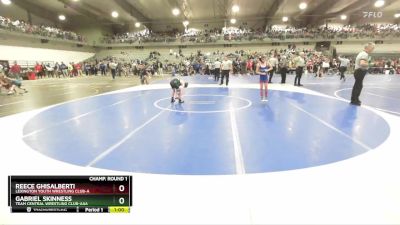 65 lbs Champ. Round 1 - Gabriel Skinness, Team Central Wrestling Club-AAA vs Reece Ghisalberti, Lexington Youth Wrestling Club-A