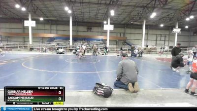 65 lbs 3rd Place Match - Gunnar Nelsen, McCall Wrestling Club vs Taesom Neibaur, Bonneville Wrestling