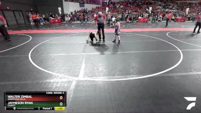 105 lbs Cons. Round 3 - Walter Zimbal, Sheboygan Falls vs Jaymeson Ryan, Cadott