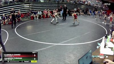 65 lbs Finals (8 Team) - Kameron Cushman, Iowa USA Red vs D Angelo Chavez, Indiana Gold