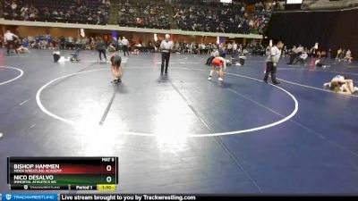 95 lbs Quarterfinal - Nico DeSalvo, Immortal Athletics WC vs Bishop Hammen, Moen Wrestling Academy