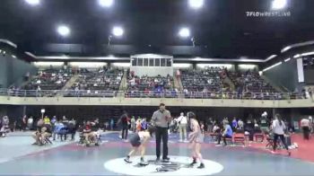 95 lbs Semifinal - Emerson Lewis, Cedarville vs Lucia Ranieri, Roselle Park