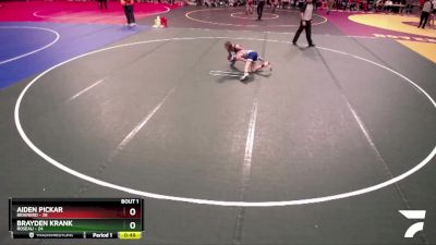 102 lbs Semis (4 Team) - Aiden Pickar, Brainerd vs Brayden Krank, Roseau