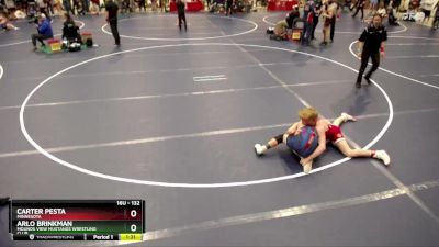 132 lbs 3rd Place Match - Arlo Brinkman, Mounds View Mustangs Wrestling Club vs Carter Pesta, Minnesota