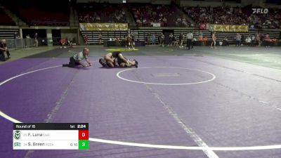 157 lbs Round Of 16 - Fernando Luna, Colorado State vs Steven Green, Slippery Rock