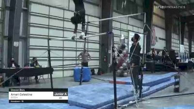 Amari Celestine - Bars, SCEGA - 2021 Region 1 Women's Championships