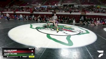 138 lbs Quarters & 1st Wb (16 Team) - Gillian Eckert, Comal Pieper vs Alicen Dillard, Azle