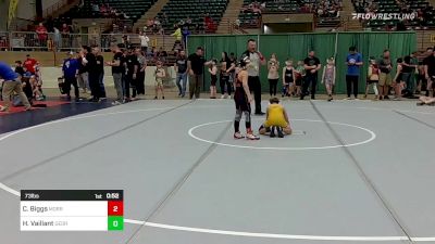 73 lbs Quarterfinal - Caden Biggs, Morris Fitness Wrestling Club vs Hunter Vaillant, Georgia