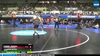 197 lbs Semifinal - Gabriel Zierden, Concordia-Moorhead vs Cameron Butka, Wilkes