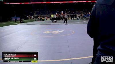 D3-106 lbs Semifinal - Gable Majcher, Yale HS vs Kaleb Reece, Frankenmuth HS