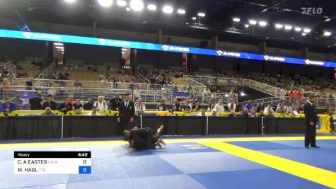 CHRISTOPHER A EASTER vs MICHAEL HAGL 2024 Pan Jiu Jitsu IBJJF Championship