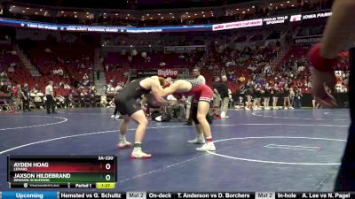 3A-220 lbs Quarterfinal - Ayden Hoag, LeMars vs Jaxson Hildebrand, Denison-Schleswig