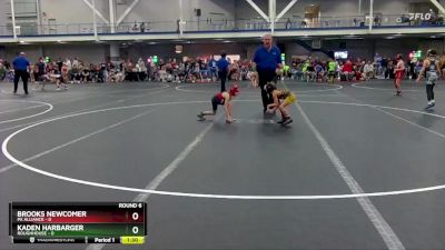 48 lbs Round 6 (8 Team) - Kaden Harbarger, Roughhouse vs Brooks Newcomer, PA Alliance