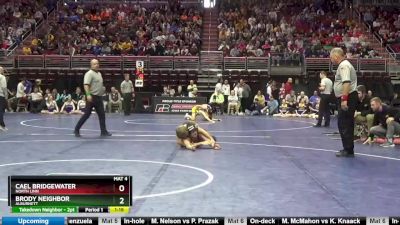 1A-138 lbs 3rd Place Match - Cael Bridgewater, North Linn vs Brody Neighbor, Alburnett