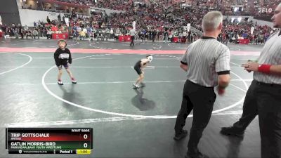 48 lbs Champ. Round 1 - Gatlin Morris-Bird, ParkviewAlbany Youth Wrestling vs Trip Gottschalk, Antigo