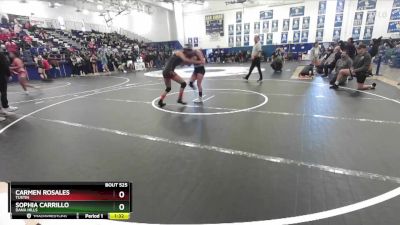 120 lbs Semifinal - Sophia Carrillo, Dana Hills vs Carmen Rosales, Tustin