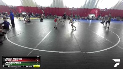 113 lbs Placement Matches (16 Team) - Landyn Freeman, Wisconsin Rapids vs Landon Walker, Canton