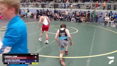 110 lbs Final - Oliver Dolchok, Avalanche Wrestling Association vs Carson Cobb, Soldotna Whalers Wrestling Club