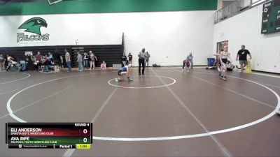 90-95 lbs Round 4 - Eli Anderson, Dakota Boyz Wrestling Club vs Ava Rife, Palmyra Youth Wrestling Club