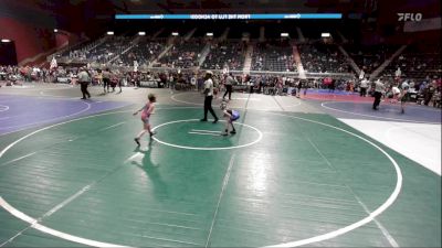 46 lbs Quarterfinal - Sofia Reynolds, Windy City WC vs Camri Bales, Eastside United WC