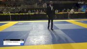 VITOR HENRIQUE ANDRADE DA PAIXÃO vs JONATHAN LE 2024 Pan Jiu Jitsu IBJJF Championship