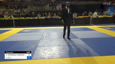 VITOR HENRIQUE ANDRADE DA PAIXÃO vs JONATHAN LE 2024 Pan Jiu Jitsu IBJJF Championship