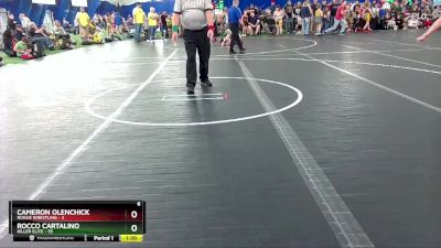 92 lbs Round 6 (8 Team) - Cameron Olenchick, Rogue Wrestling vs Rocco Cartalino, Killer Elite