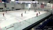 Replay: Home - 2024 Maryland vs Hitmen U15 | Jan 7 @ 9 AM