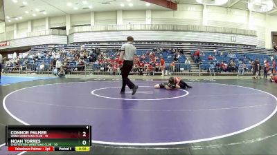 140 lbs Round 1 (6 Team) - Connor Palmer, Webo Wrestling Club vs Noah Torres, Chesterton Wrestling Club