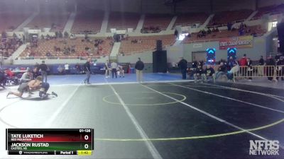 D1-126 lbs Quarterfinal - Tate Luketich, Red Mountain vs Jackson Rustad, Casteel HS