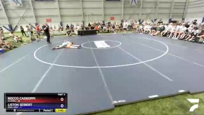 106 lbs Round 1 (8 Team) - Rocco Cassioppi, Illinois vs Liston Seibert, Ohio Gray