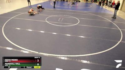 85 lbs Semis & 1st Wrestleback (8 Team) - Aidan Medek, Pierz vs Marshall Hall, ANML