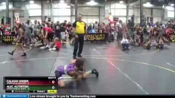 65 lbs Semis & 1st Wrestleback (8 Team) - Calihan Weber, American Gladiators vs Alec Alfortish, Untouchables White