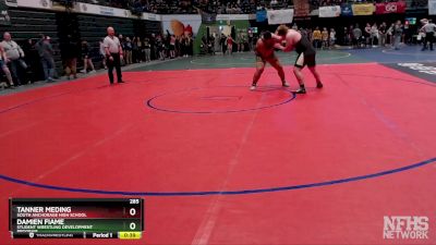 285 lbs Cons. Round 3 - Tanner Meding, South Anchorage High School vs Damien Fiame, Student Wrestling Development Program