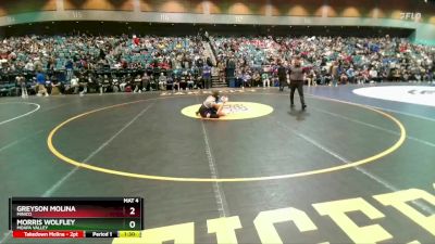 113 lbs Quarterfinal - Greyson Molina, Minico vs Morris Wolfley, Moapa Valley