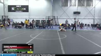 100 lbs Finals (2 Team) - Lance Davidson, Armory Athletics vs Shane Sughrue, Mat Attack