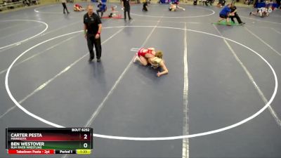 132 lbs Cons. Semi - Carter Pesta, Minnesota vs Ben Westover, Rum River Wrestling