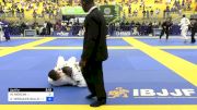 MARCELO MERLINI vs CARLOS HERCULES GALLO 2024 Brasileiro Jiu-Jitsu IBJJF