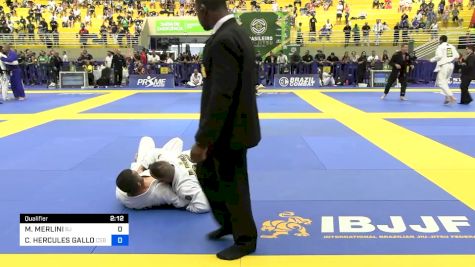 MARCELO MERLINI vs CARLOS HERCULES GALLO 2024 Brasileiro Jiu-Jitsu IBJJF