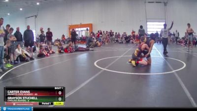 95 lbs Semis (4 Team) - Carter Evans, Palmetto State Academy vs Grayson Stuchell, Carolina Reapers