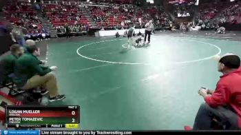 D2-106 lbs Quarterfinal - Peter Tomazevic, Freedom vs Logan Mueller, Brillion