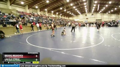 114 lbs Quarterfinal - Brooks Brosovich, Team Champs Wrestling Club vs Lincoln Steele, All In Wrestling Academy