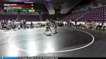 W-100 lbs 2nd Wrestleback (16 Team) - Brianna Hernandez, New Mexico vs Brenda Nunez, California