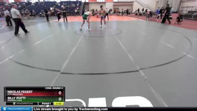 149 lbs Cons. Round 4 - Nikolas Fegert, Pitt-Bradford vs Billy Piatti, Oswego State