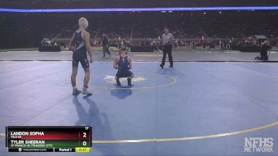 D3-120 lbs 3rd Place Match - Landon Sopha, Yale HS vs Tyler Sheeran, St Francis HS (Traverse City)