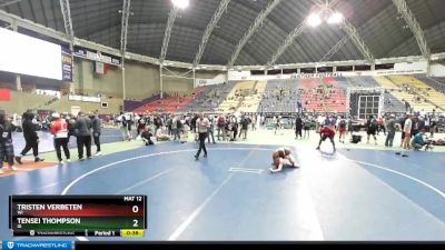 138 lbs Cons. Round 3 - Tristen Verbeten, WI vs Tensei Thompson, ID