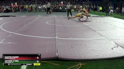 D4-138 lbs Cons. Round 2 - Austin Marry, Hudson Area HS vs Hayden O`Neil, Newberry HS